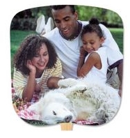 Family Unity Stock Religious & Inspirational Fan