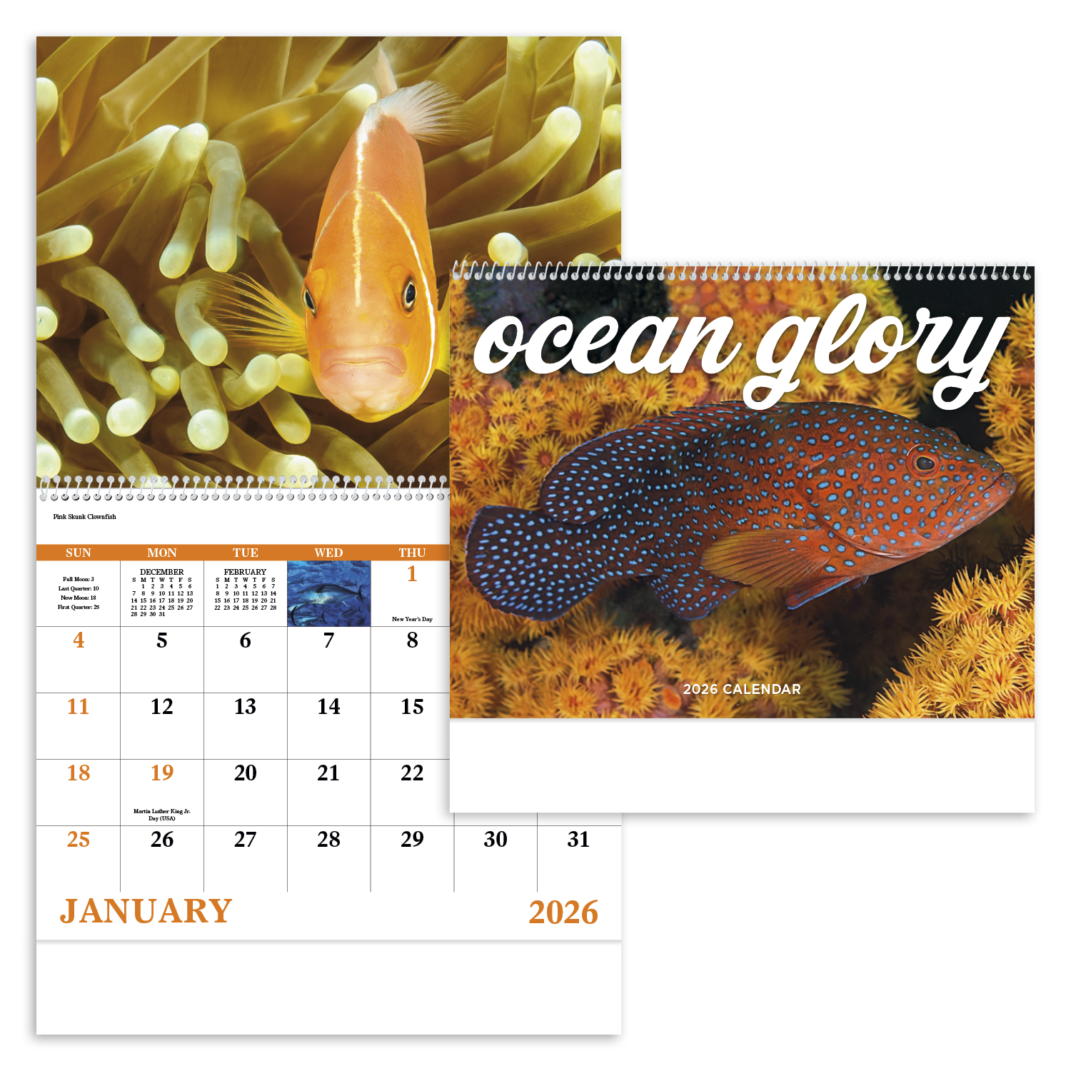 Good Value™ Ocean Glory - Spiral Calendar 47
