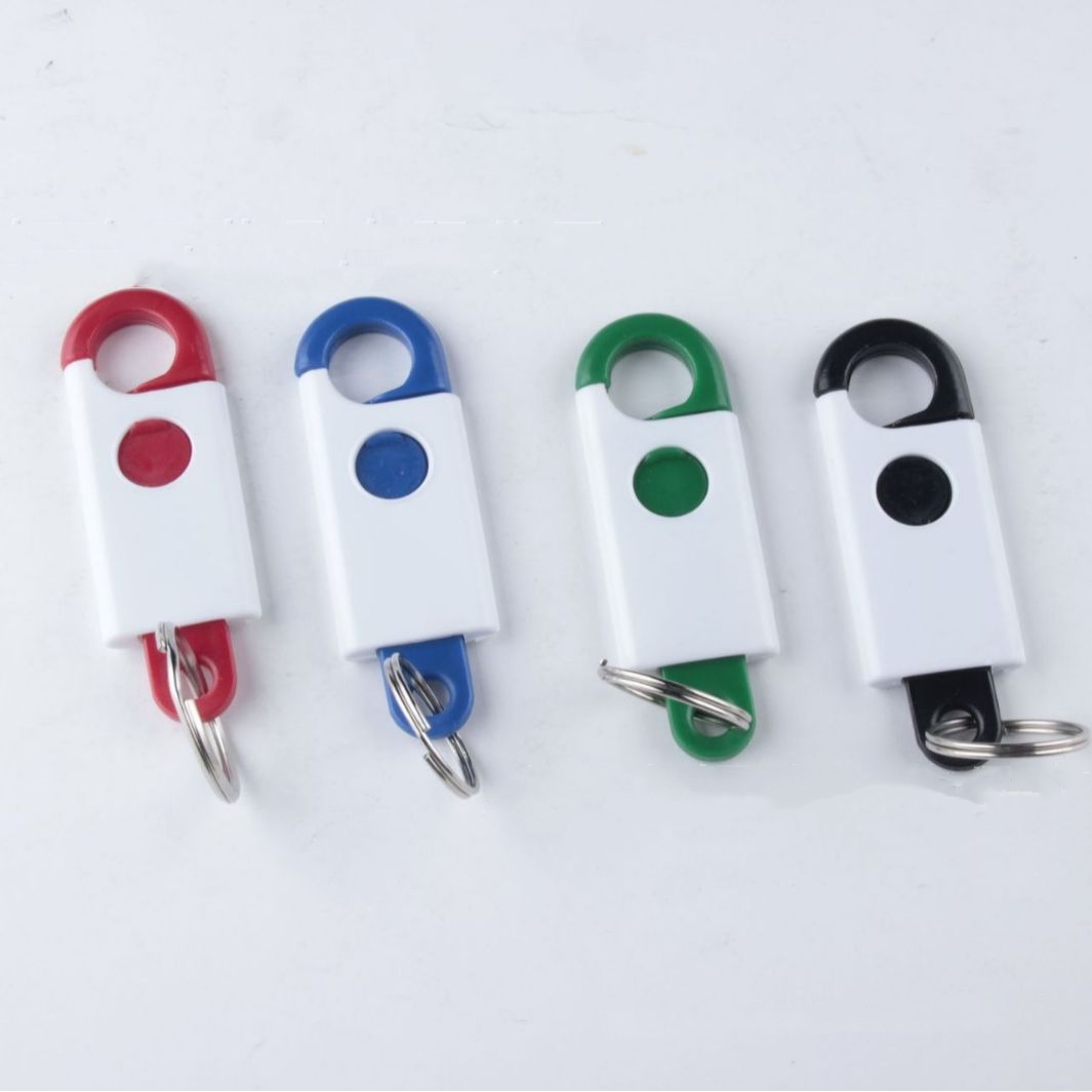 Carabiner Keychain 1