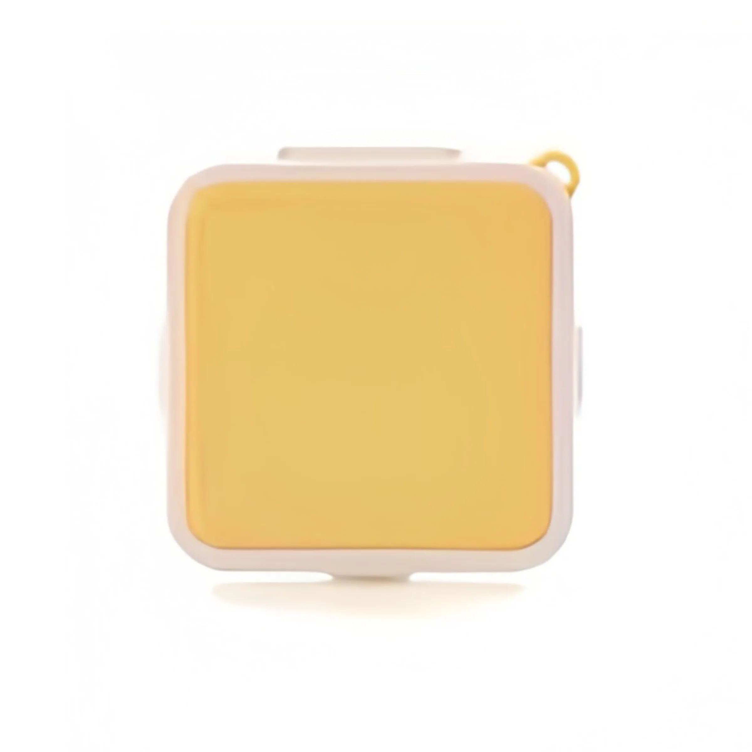 Polypropylene Sandwich Bread Preservation Storage Box 4