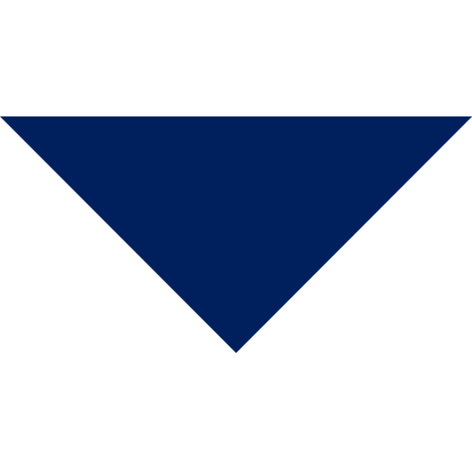 Large Triangle Pet Bandana w/ Screen Print