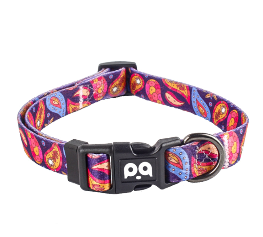 Pet Collor 4