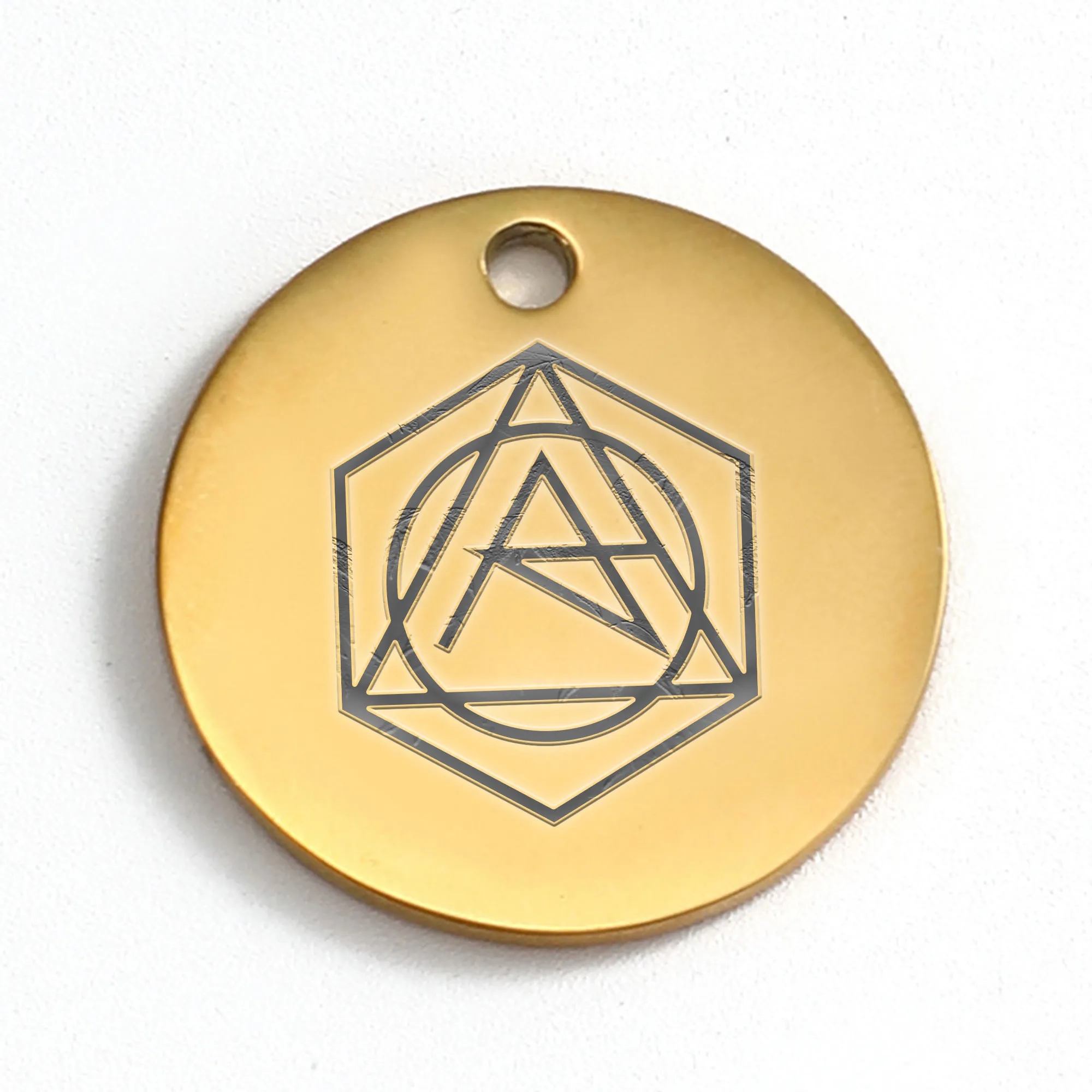 Laser Lettering Stainless Steel Pet Tag 2