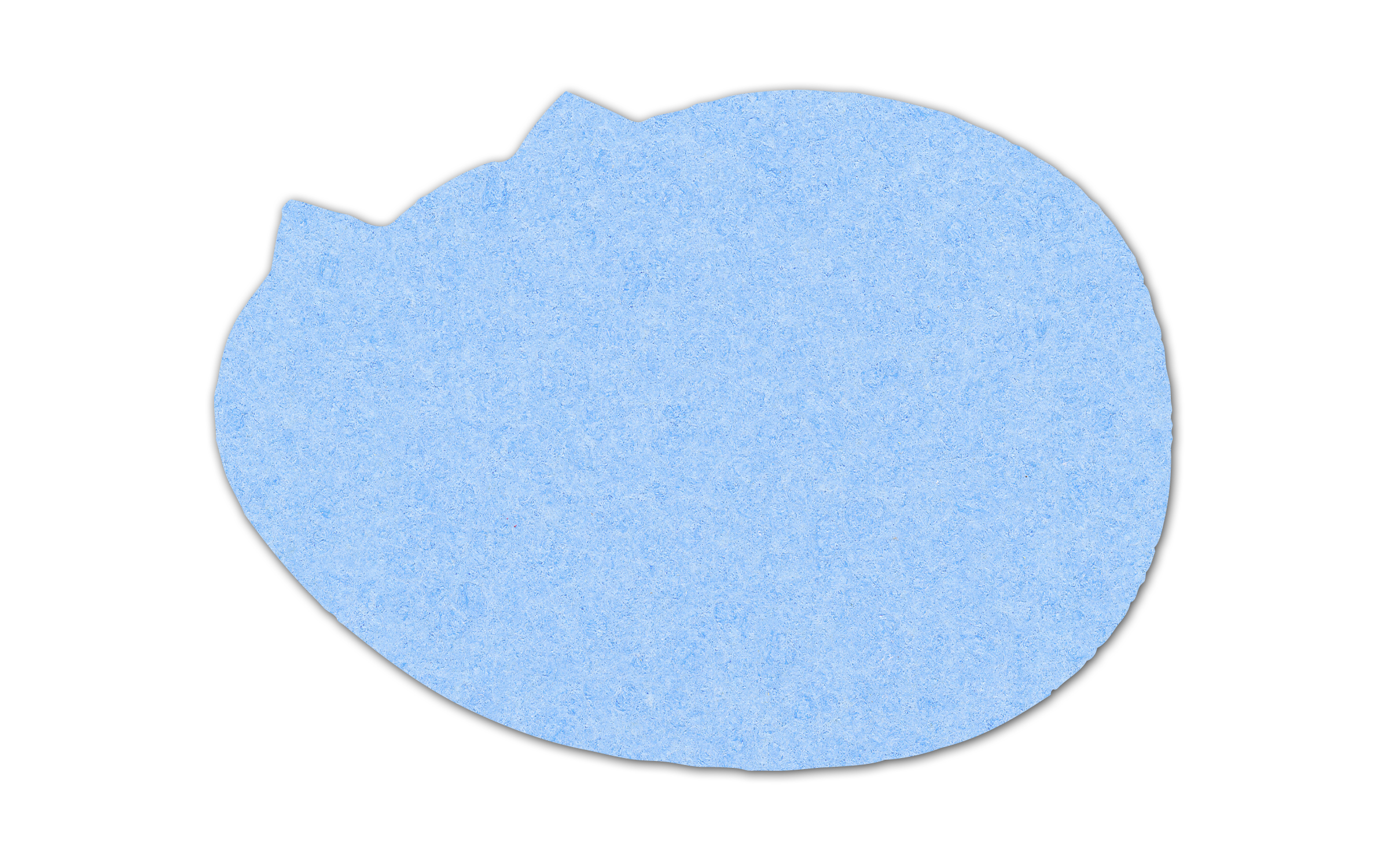 Cat Compressed Sponge 12