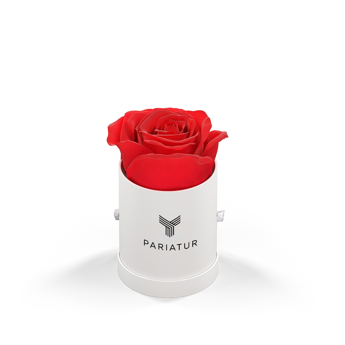 Classique by VeF Le Mini™ Round 20