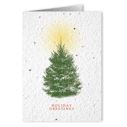 Seed Paper Folding Cards 31