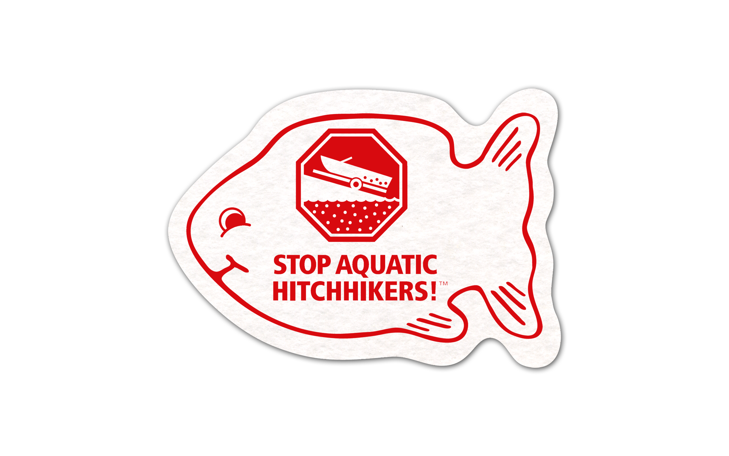 Fish Shammy Coaster 10