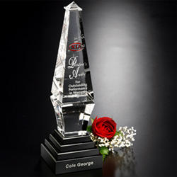Epitome Award 6