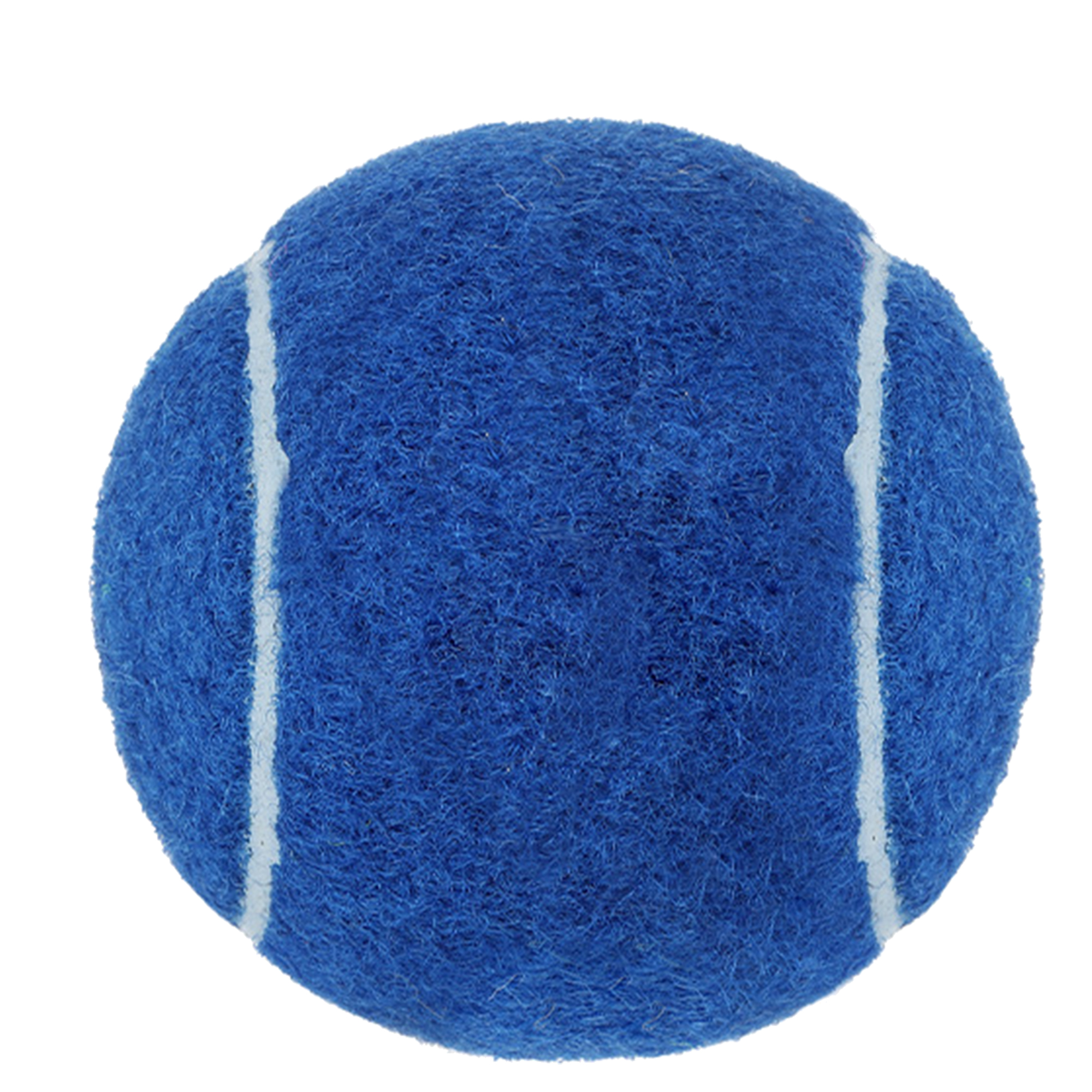 Customizable Dog Play Ball 11