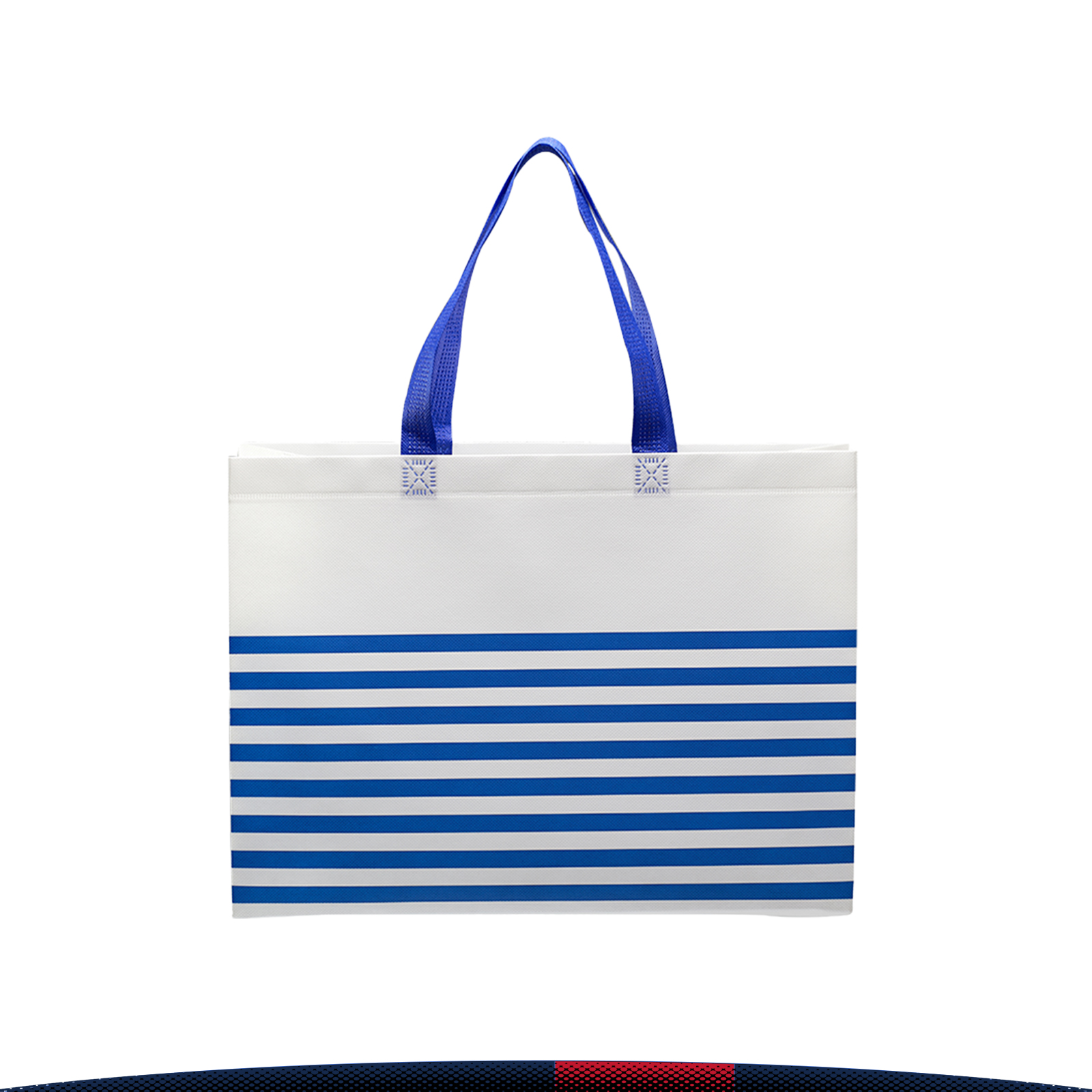 Apanda Striped Tote Bag 1