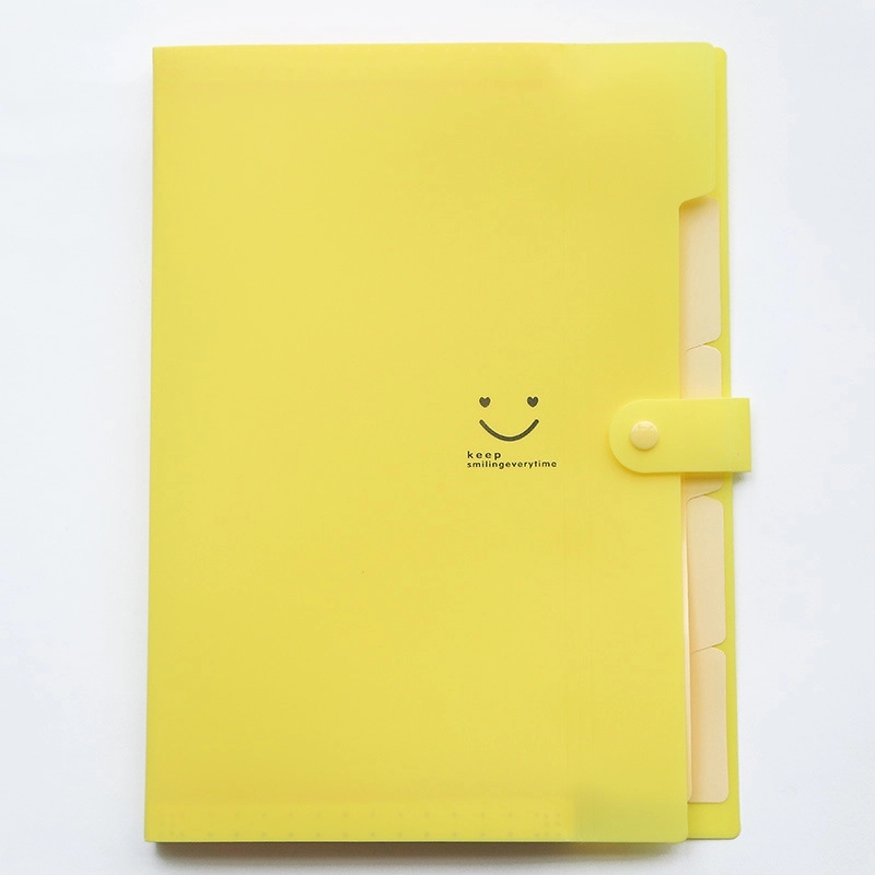 Expanding File Folder 5 Pockets 6
