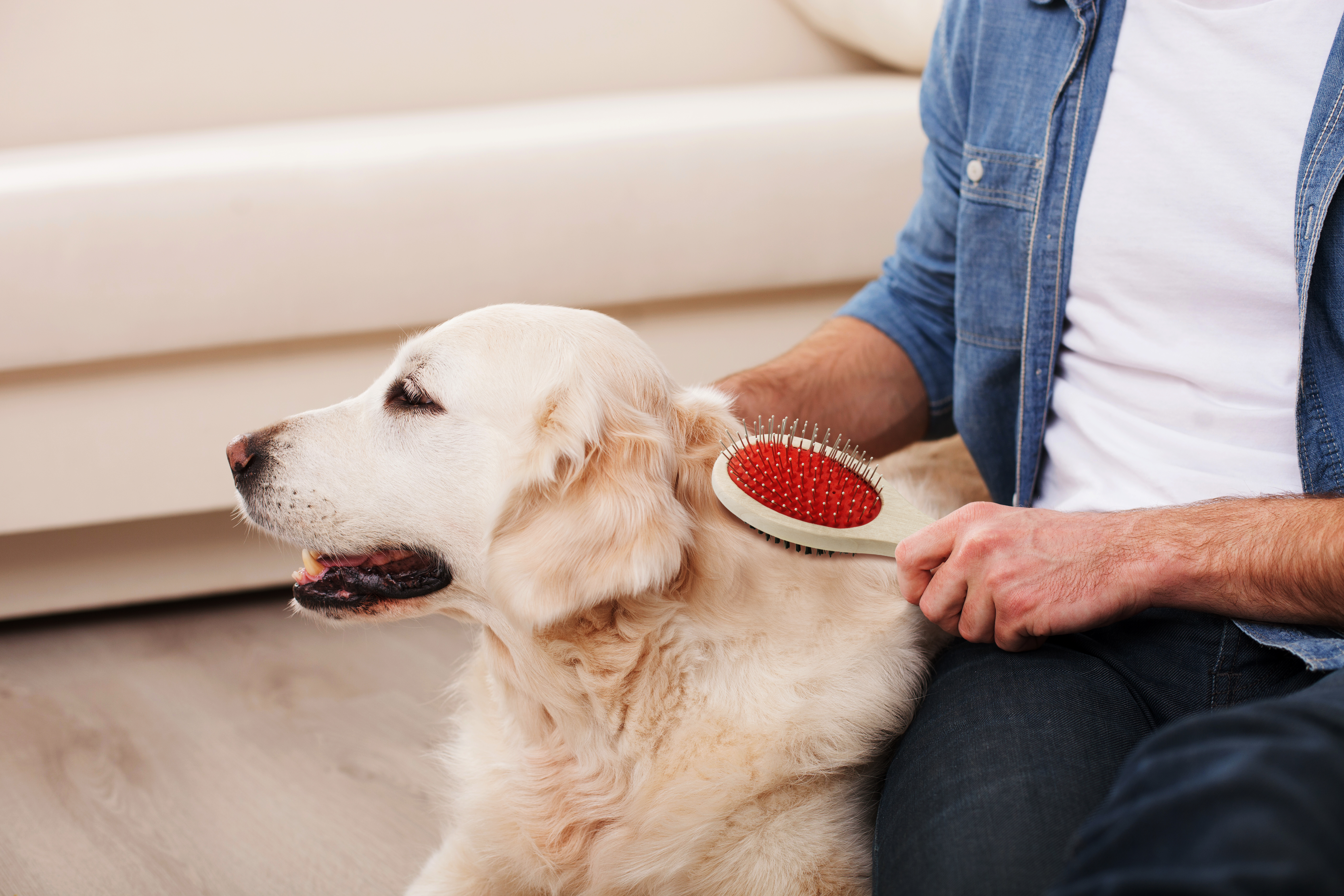 Double Sided Pet Brush 4