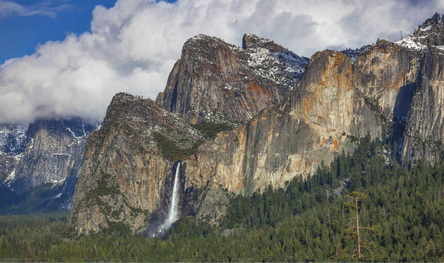 Triumph® Calendars Single Pocket Calendar 5