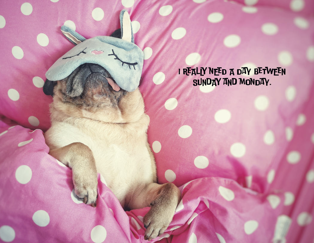 Good Value™ Pets with Attitude - Stapled Calendar