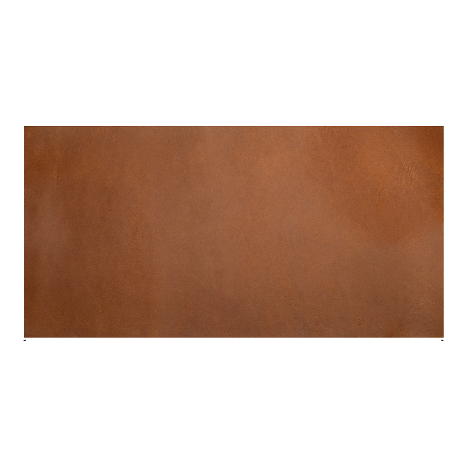 Genuine Leather Place Mat 3