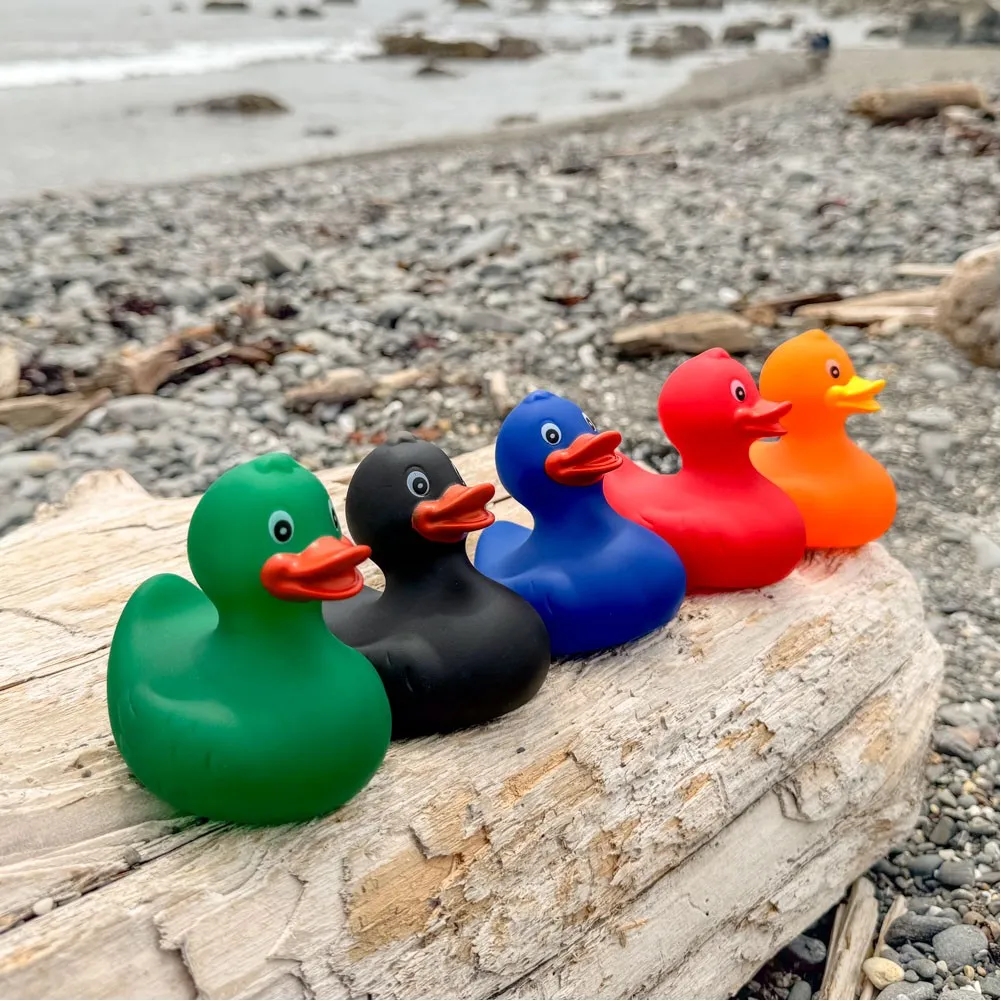 Rubber Duck 24