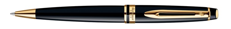 Waterman Expert Ballpoint Pen