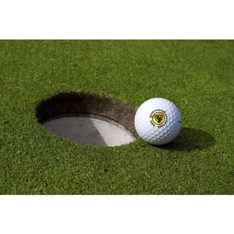 Custom Printed Golf Balls - No Minimum No Setup Fees 48