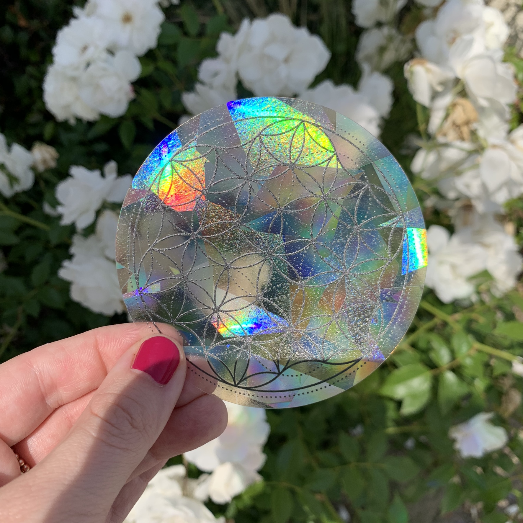 Window Decals - Custom Printed - Suncatcher Rainbow Window Stickers 5