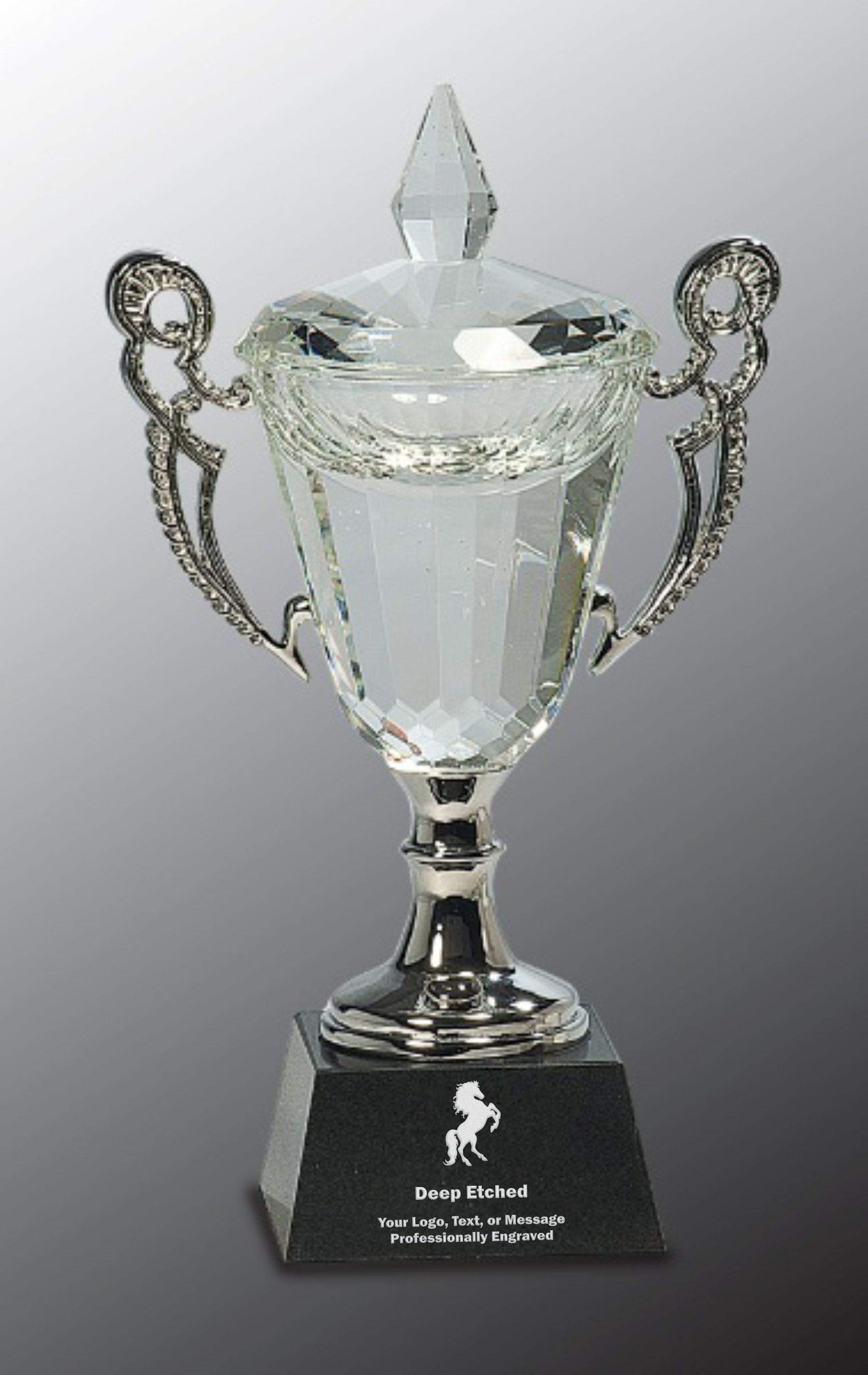 9 1/2" Crystal Cup with Silver Handles and Stem Crystal Award
