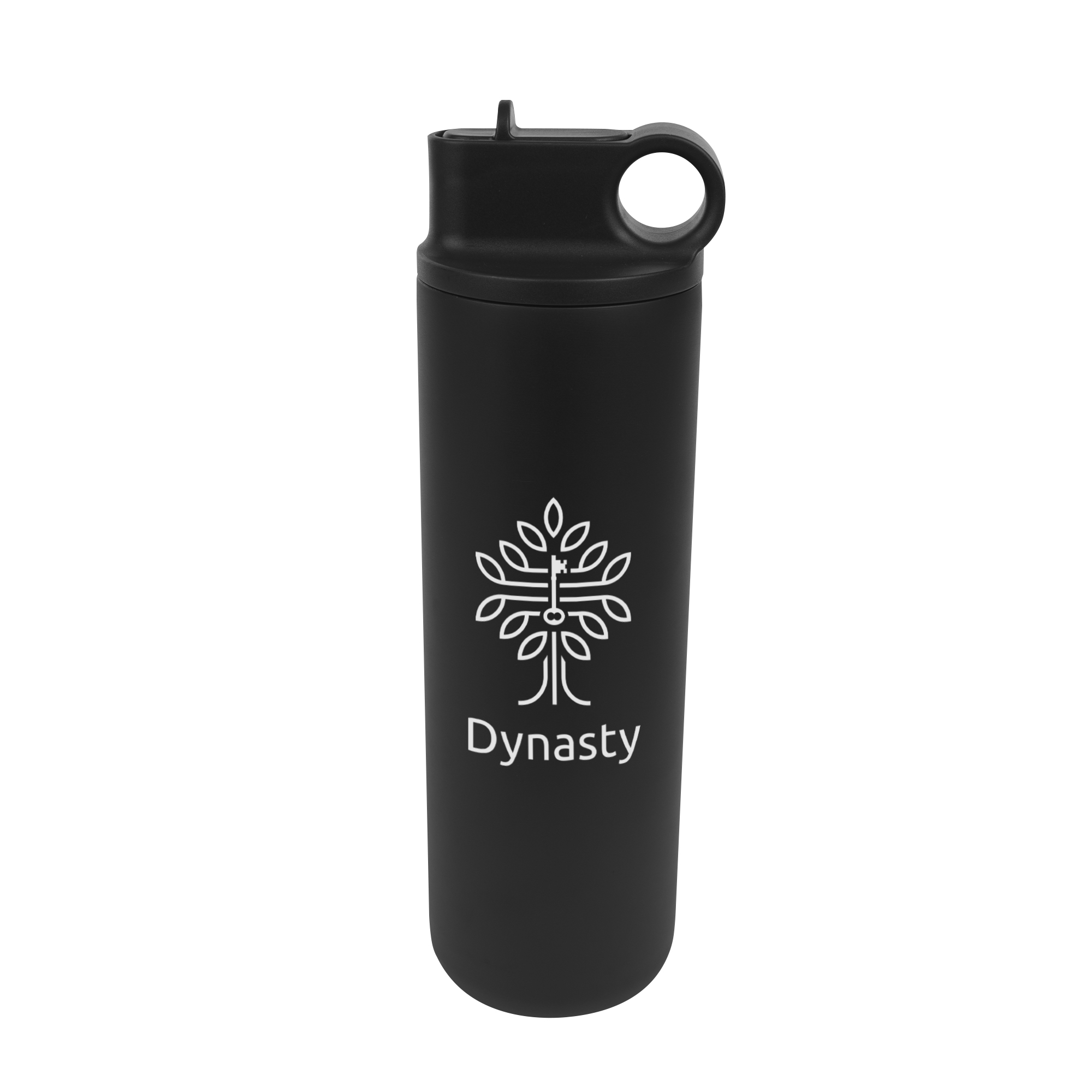 27 Oz. Roanoke Stainless Steel Bottle, custom water bottle with logo imprint 7