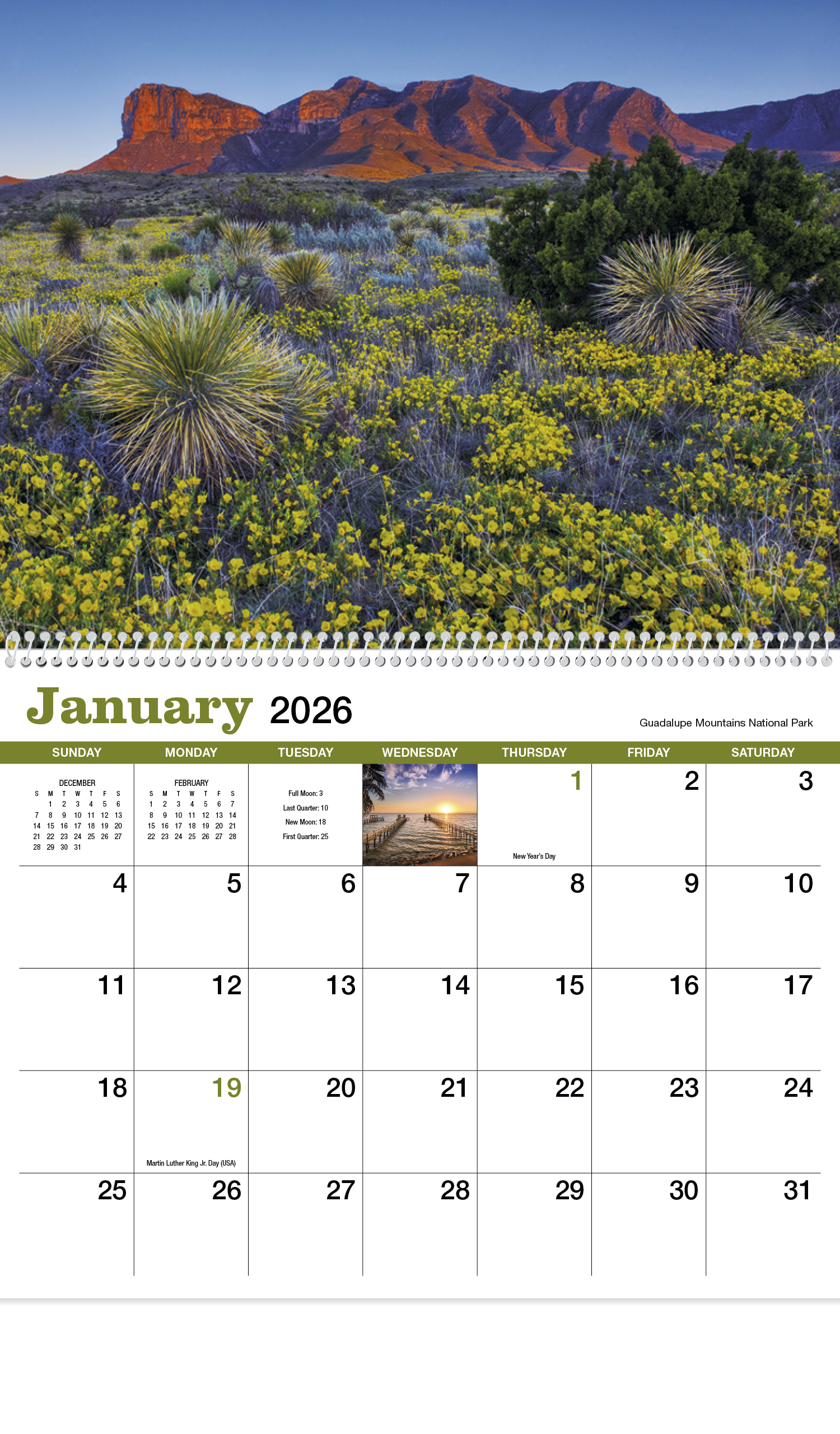 HotLine® Products Texas Appointment Calendar - Spiral 31