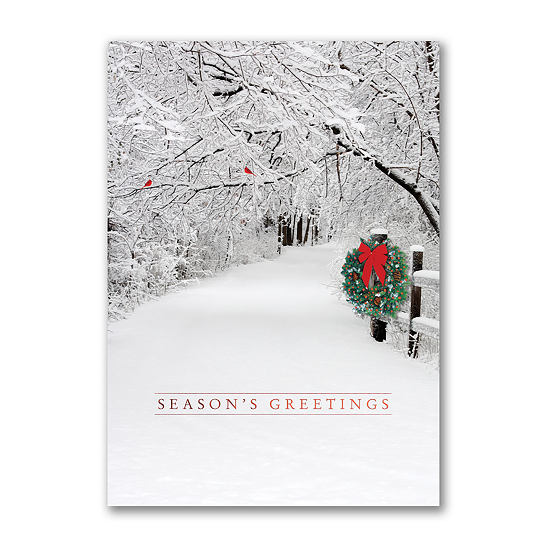 Snowy Lane Holiday Card 2