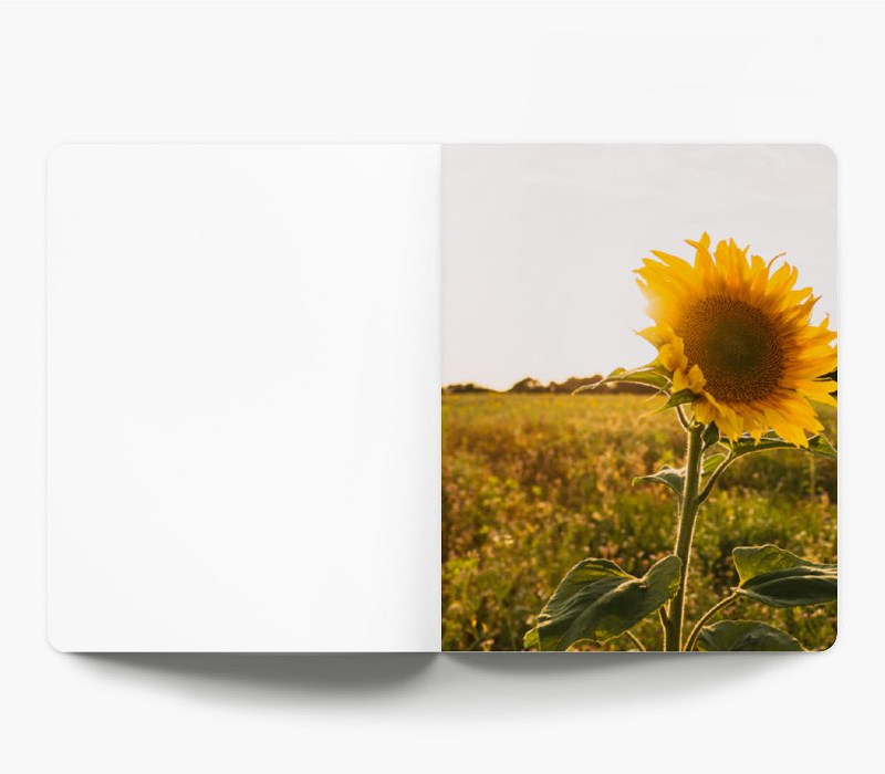 Softcover Notebook with Soft Touch Lamination - Medium 4