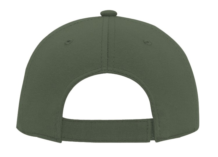 OTTO CAP® 6 Panel Low Profile Baseball Cap 100