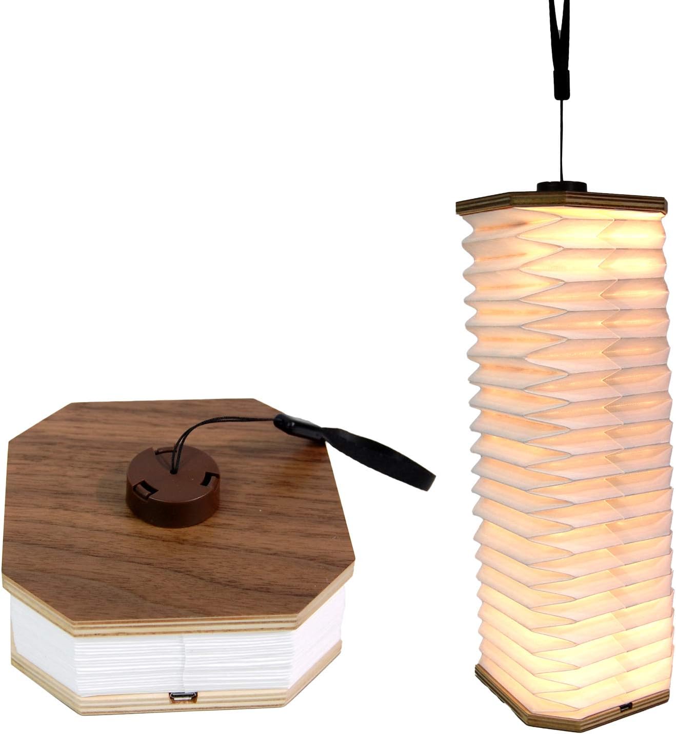 Folding LED Organ Light 2