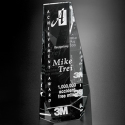 Wedgewood Award 14