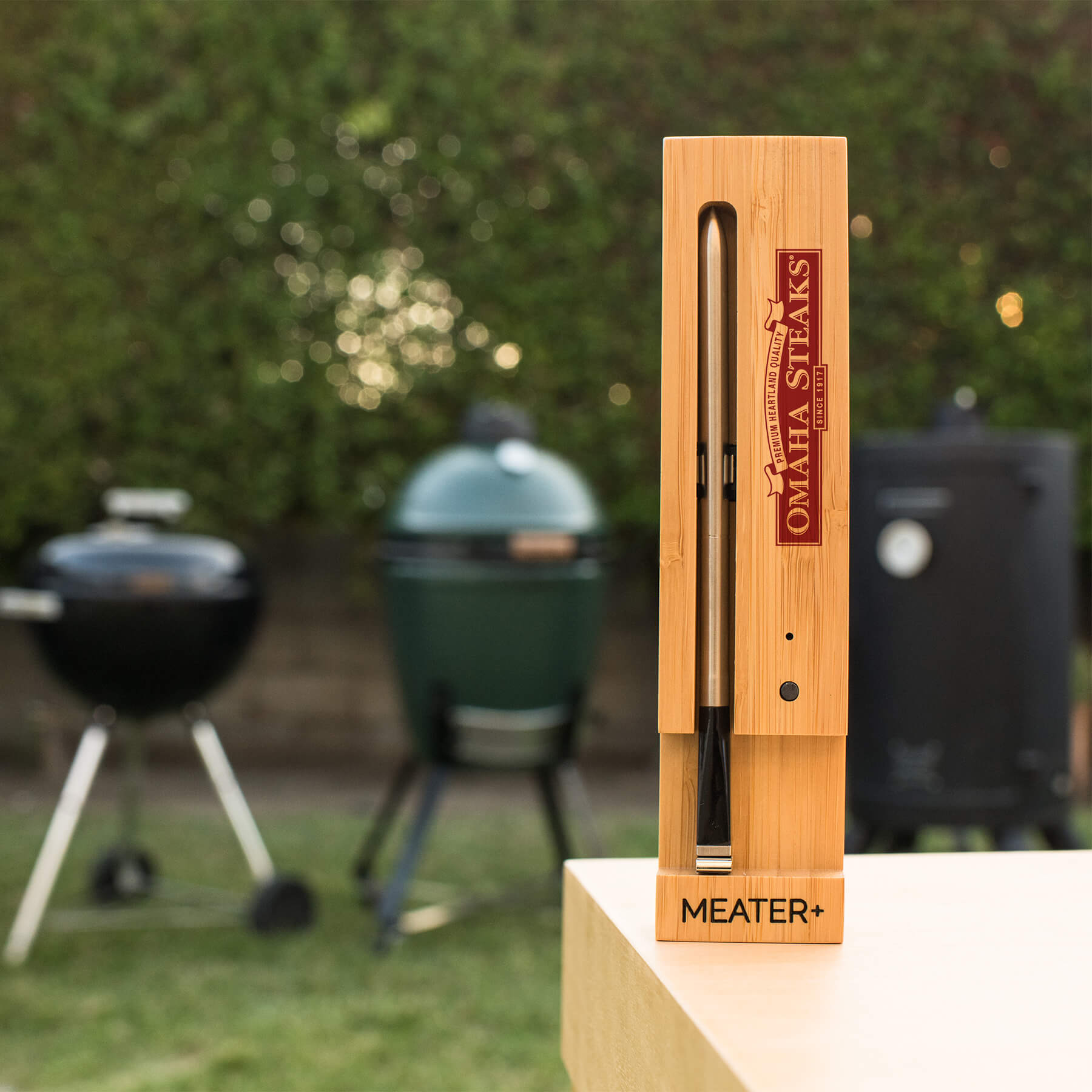 + 165ft Wireless Smart Meat Thermometer