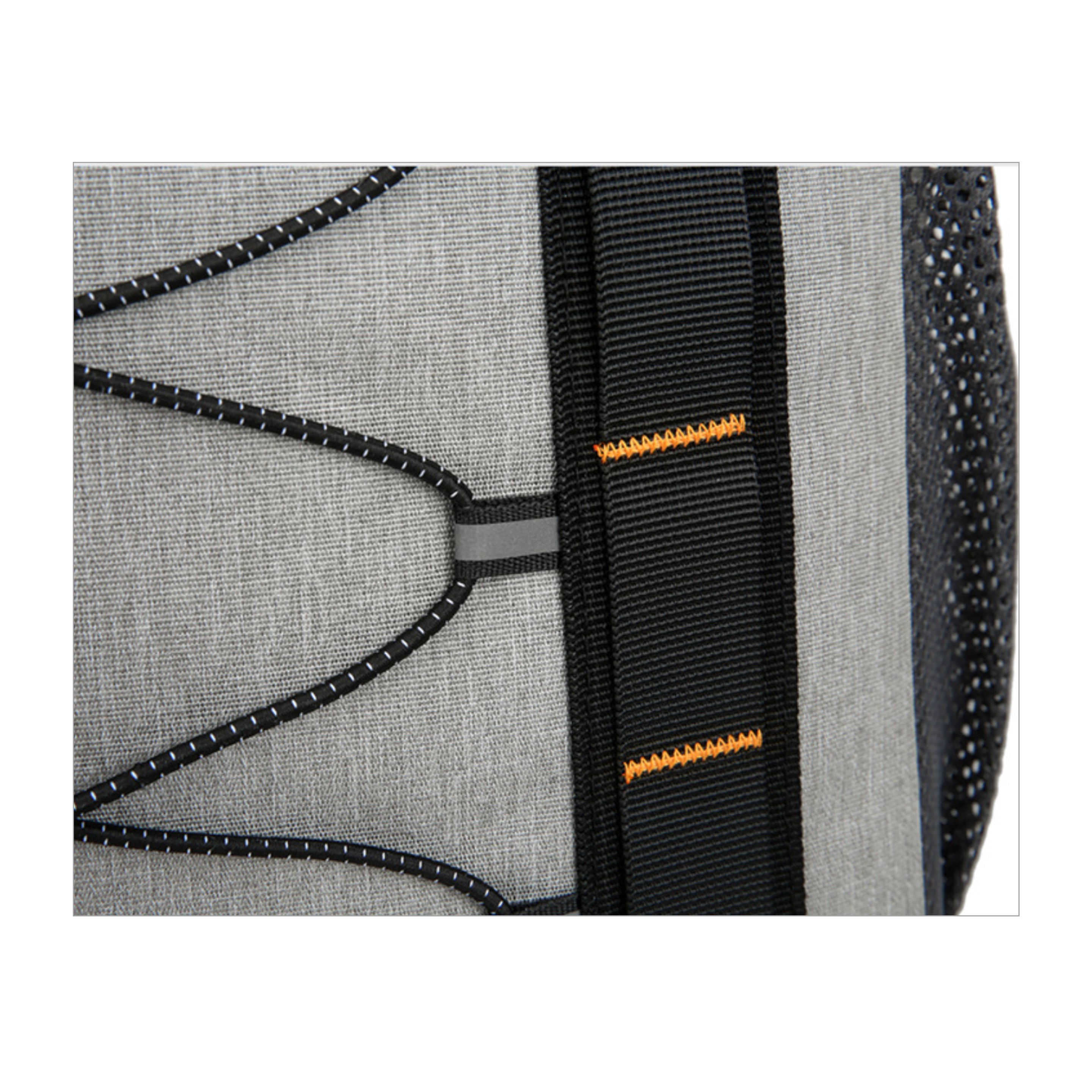 Insulated Cooler Backpack (direct import) 4