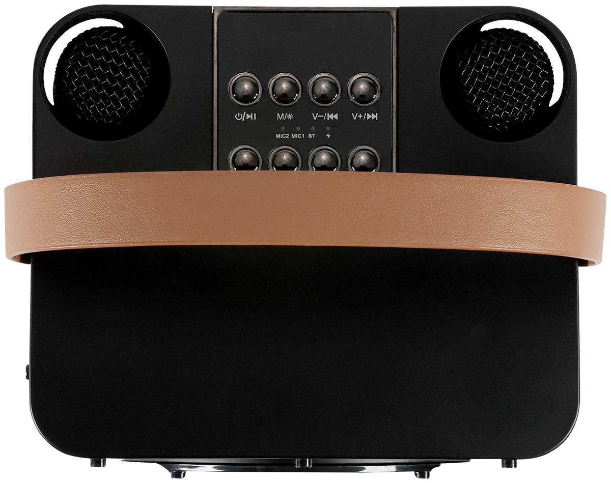 15W Karaoke Wireless Speaker with 2 Mics 25
