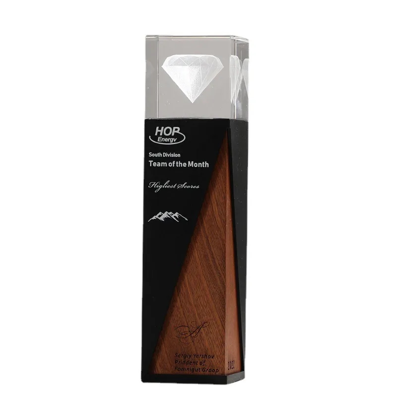 Metal and Wood Crystal Award 9