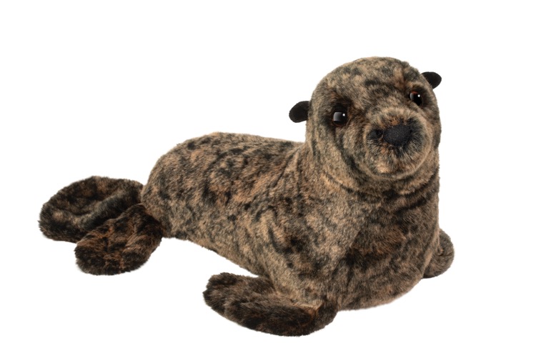 Buoy Sea Lion 2