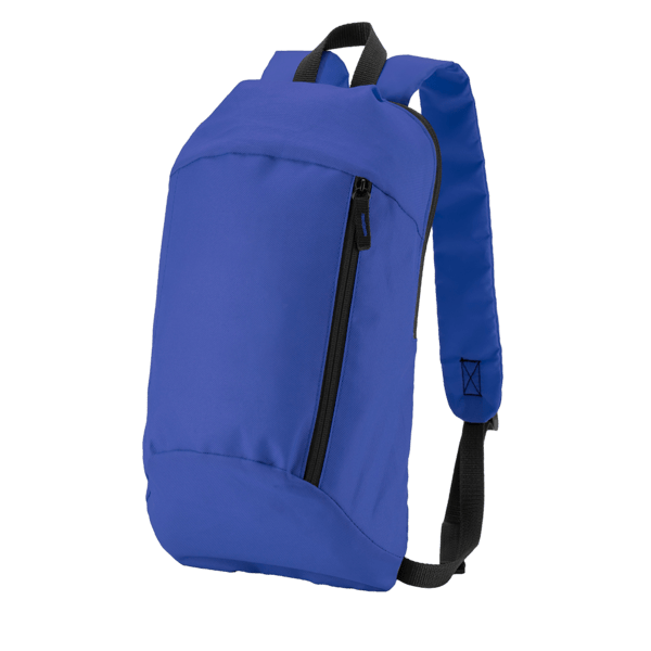 Budget Backpack 42