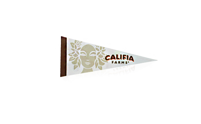 Small Full-Color Pennants