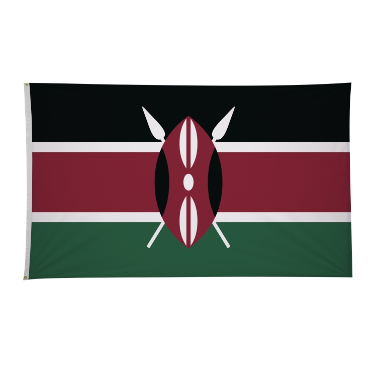 6' x 10' International Flags 332