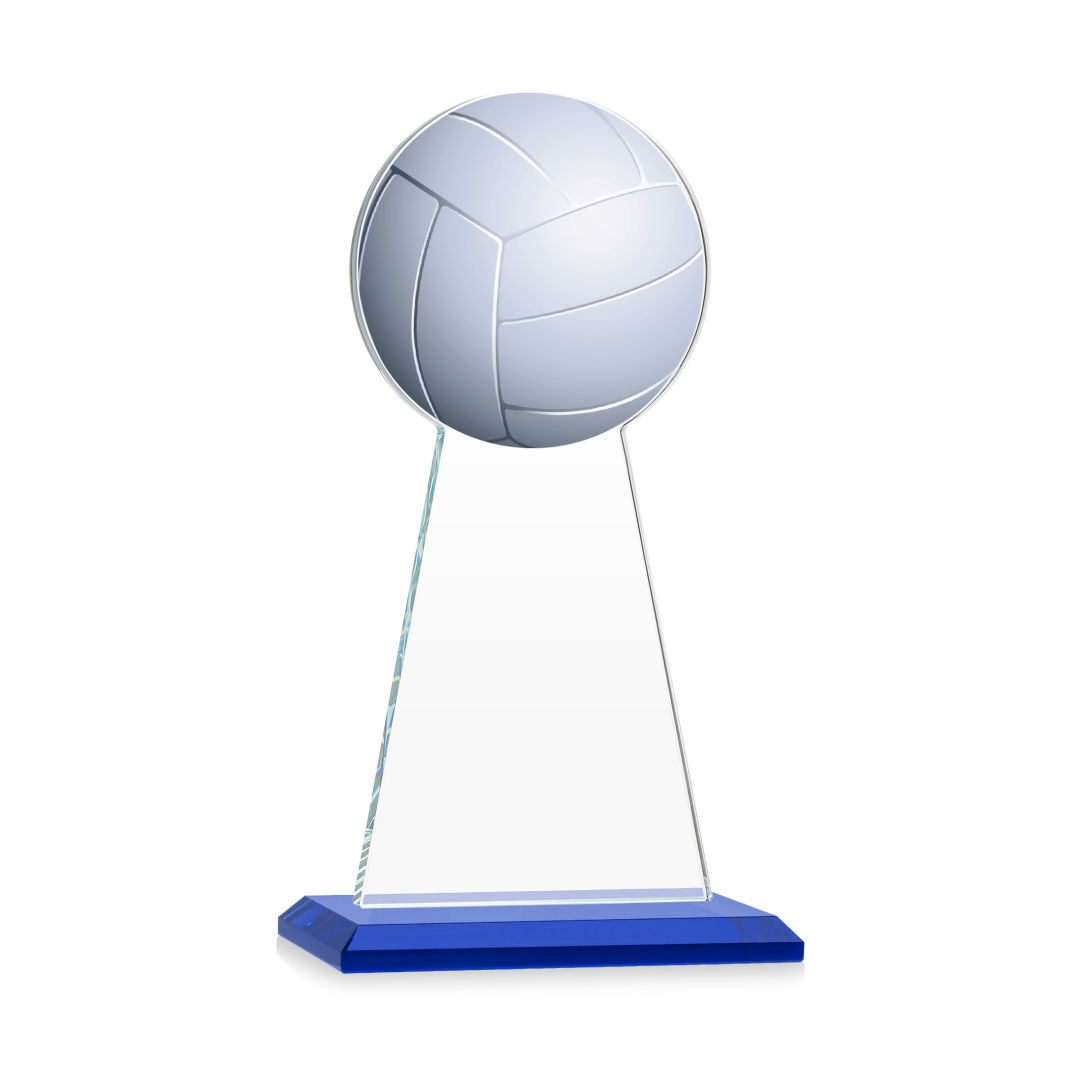 Edenwood Volleyball Award - Blue 2