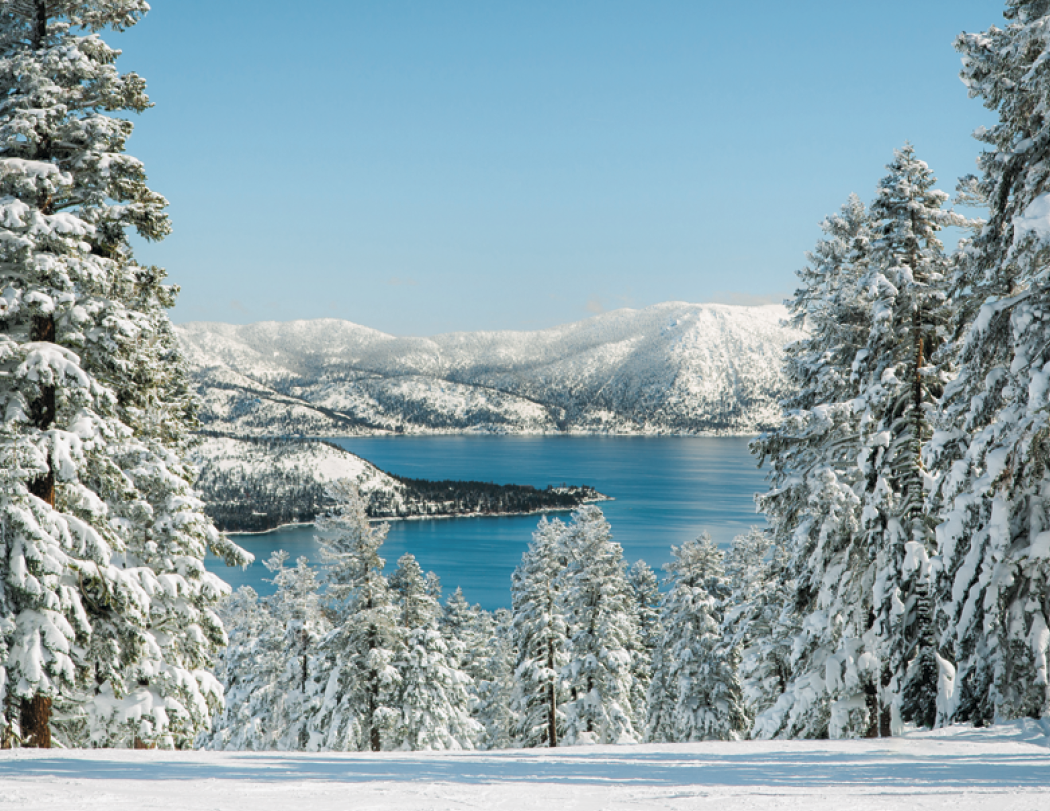 HotLine® Products California Appointment Calendar - Stapled 31