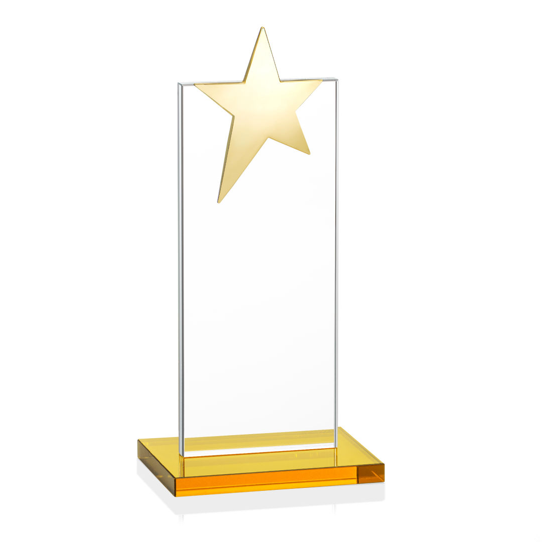 Bryanston Gold Star Award - Amber 11