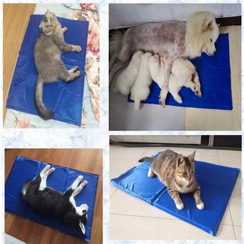 Chilly Mat Comfort Cooling Gel Pet Mat 3