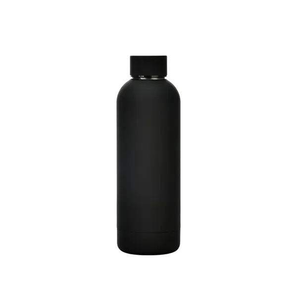 Stainless Steel Water Bottle 16 oz Capacity 11