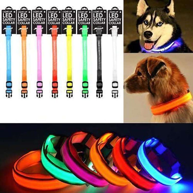 Led Dog Collars - 8 Colors 2