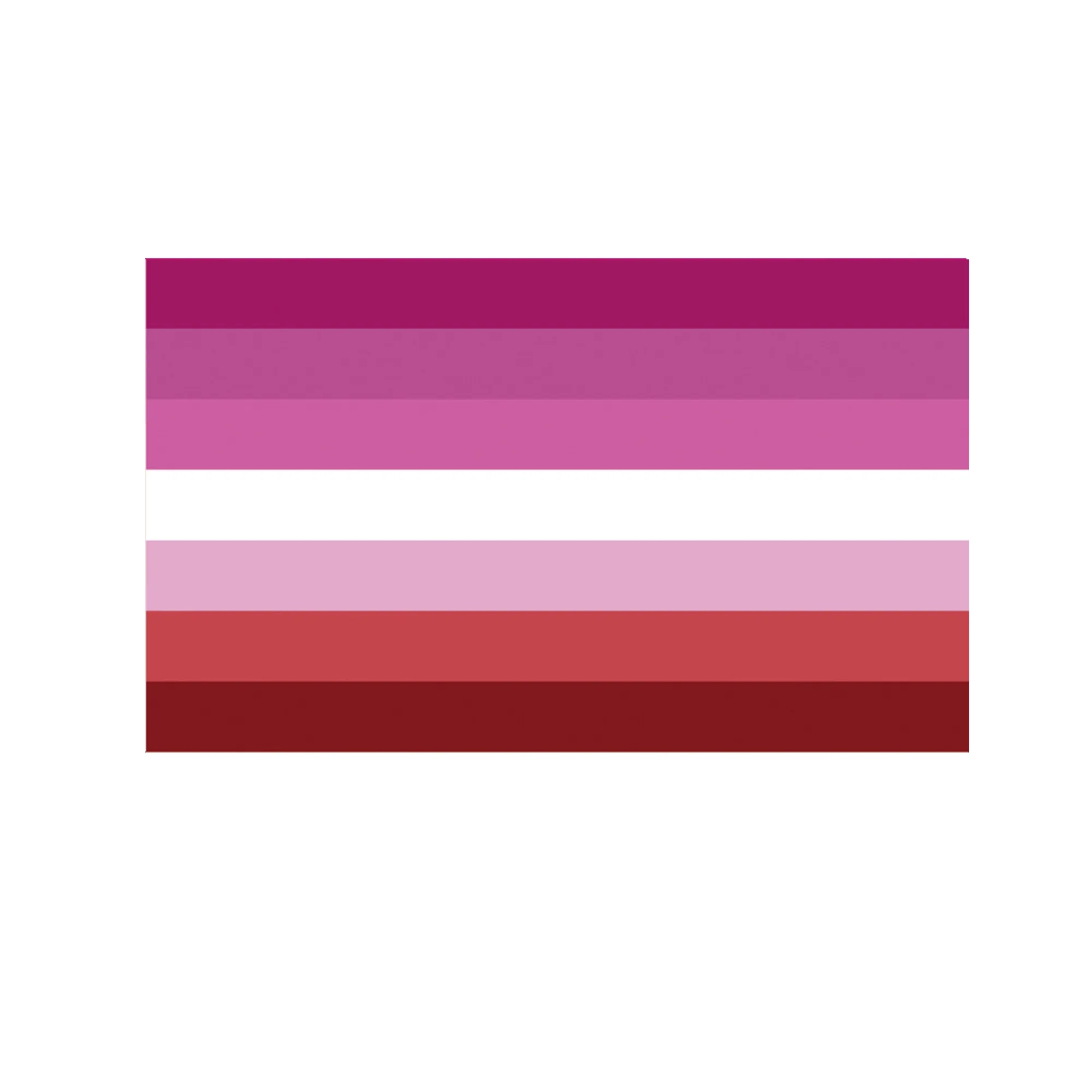 LGBTQ Pride Hand Held Rainbow Flag 10