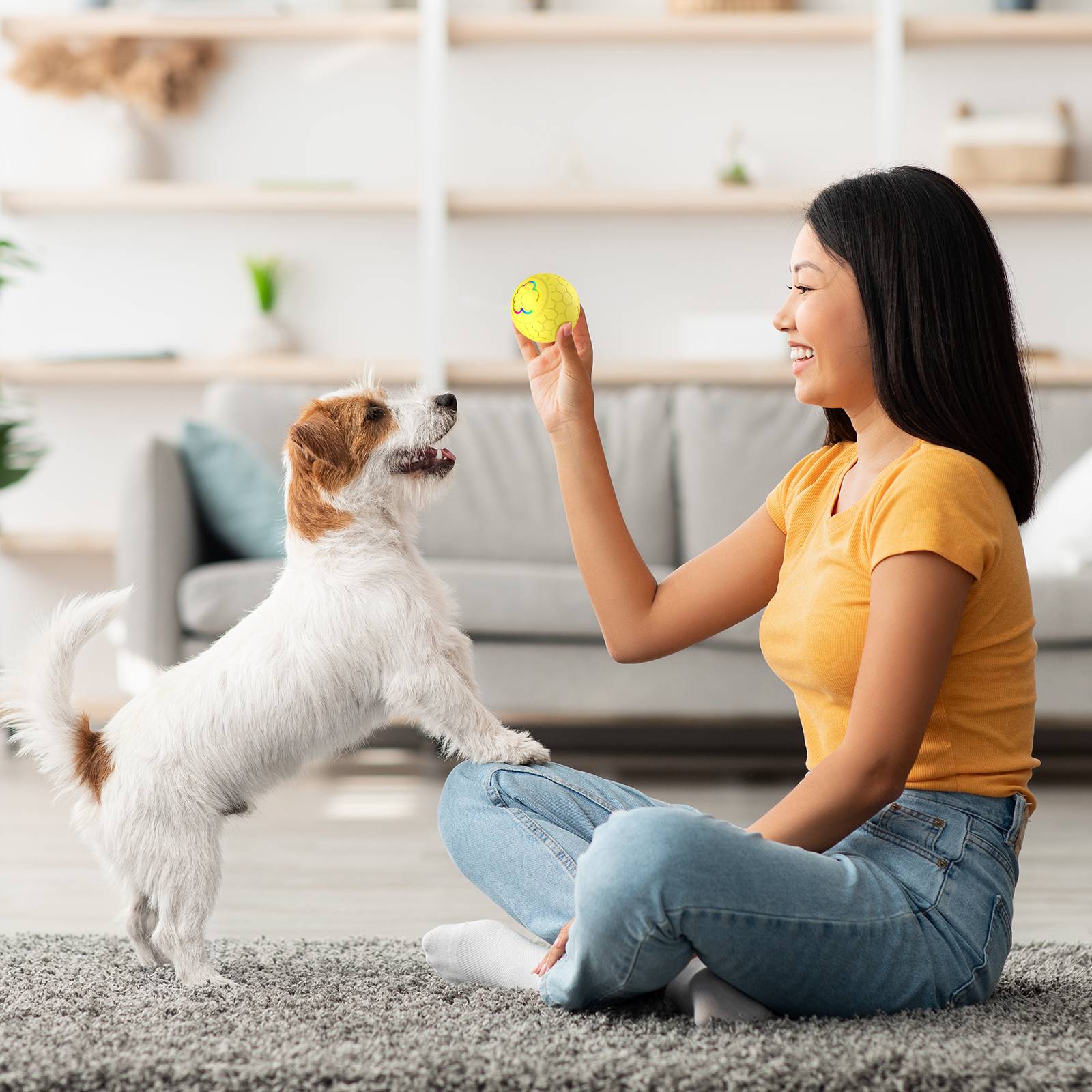 Pets Smart Interactive Jumping Ball Toy 4