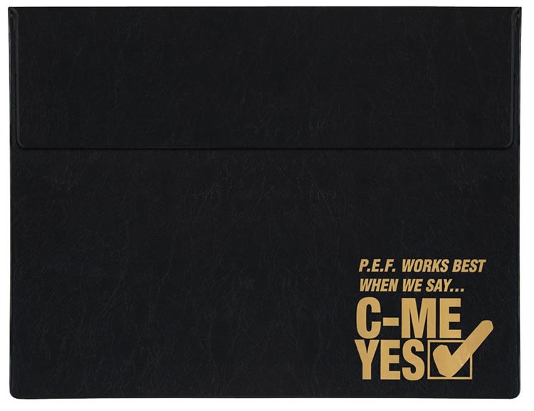 Executive Vinyl Underarm Portfolio 11