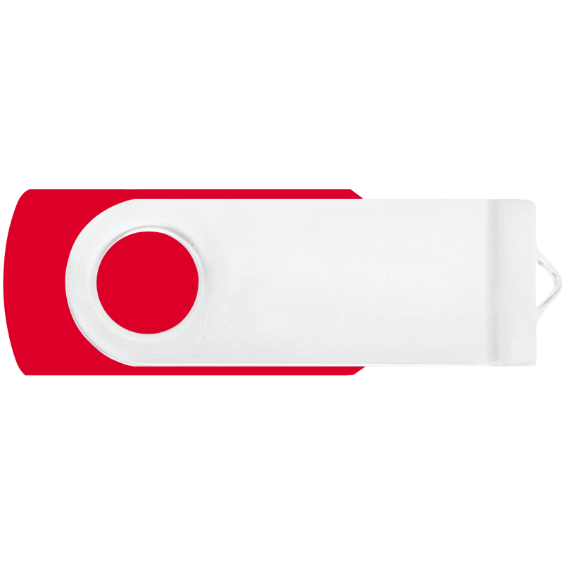 Custom Color Swivel USB Flash Drives 117