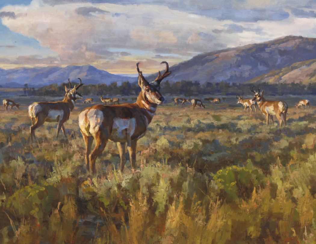 Good Value™ Wildlife Canvas - Stapled Calendar 19